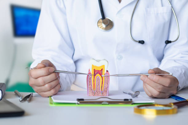 Best Emergency Root Canal Treatment in Dupont, WA